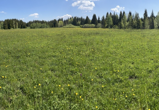 23-05-27 11-28-03 5727